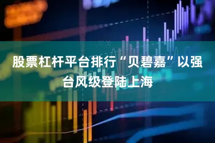股票杠杆平台排行“贝碧嘉”以强台风级登陆上海